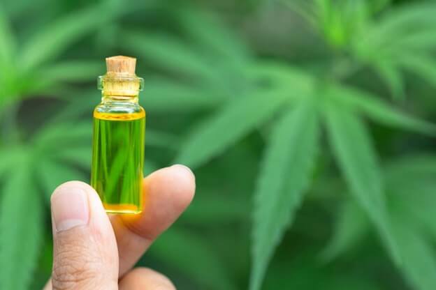 A person holding a bottle of CBD oil with the cannabis plant in the background