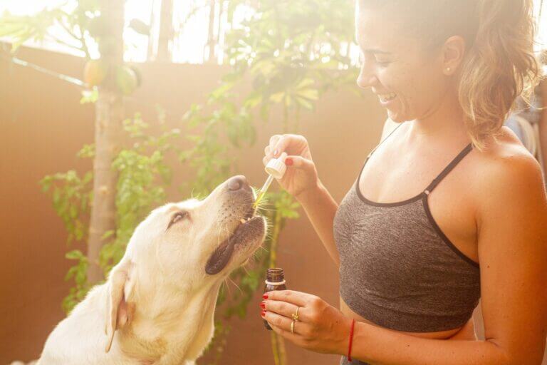 A woman giving CBD to her dog using a dropper